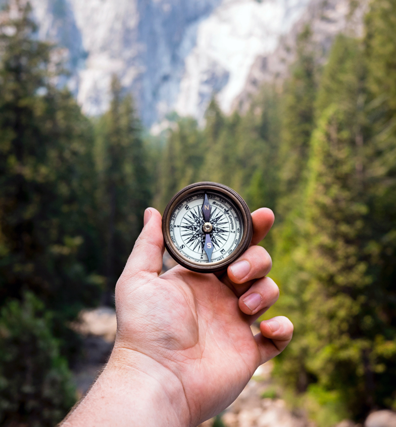 Leadership and Executive Coaching Leadership and Executive Coaching with hand holding compass in forest